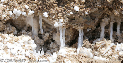 Magnesiumchlorid in seiner festen Form in der Nartur.